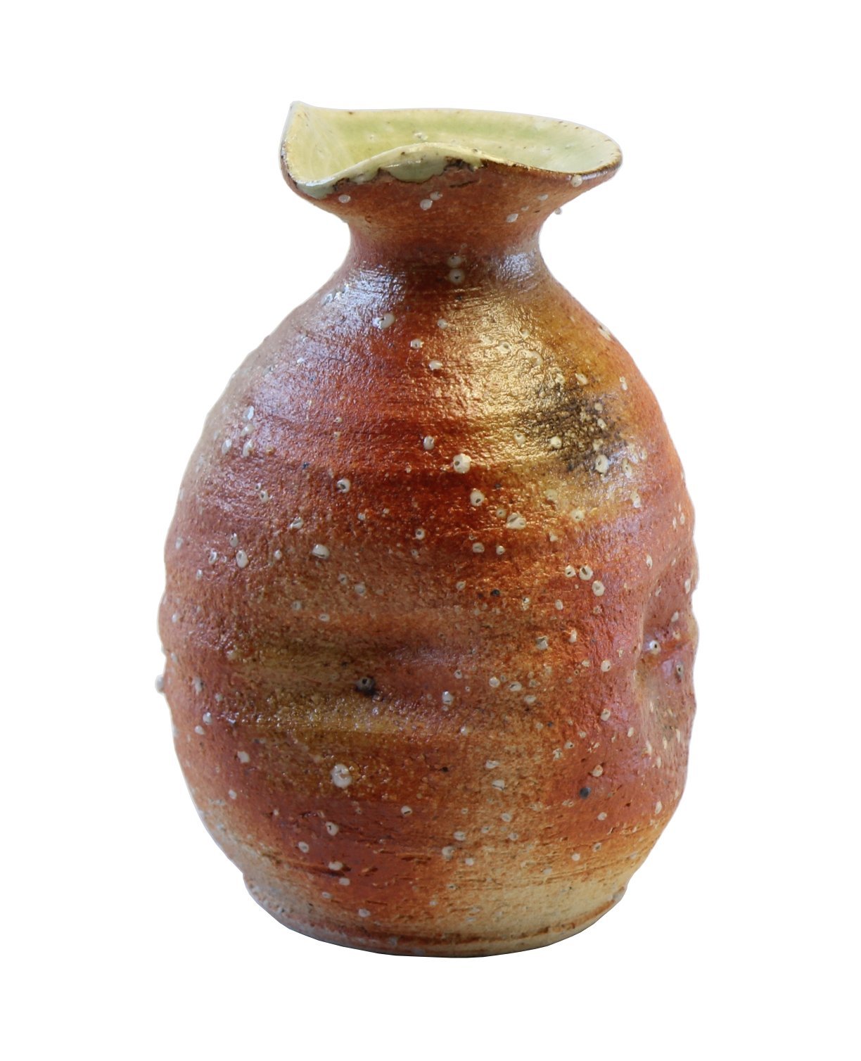 🏞️ 시가 현립 도예의 숲(시가 켄리츠 토우게이노모리) 이미지 5